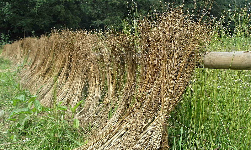 Foto: NABU Naturschutzhof Nettetal