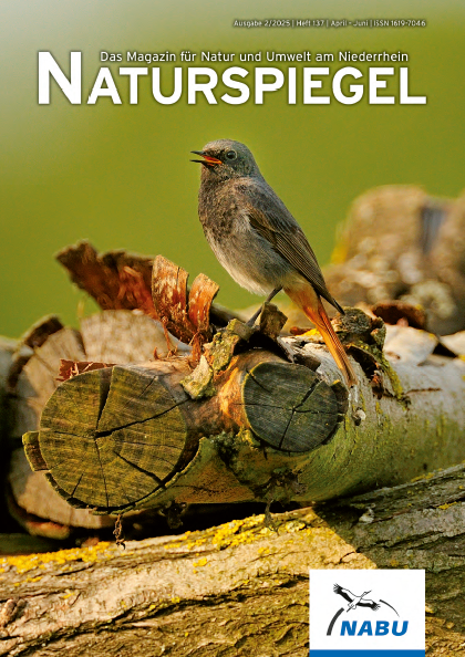 Naturspiegel 2/2025