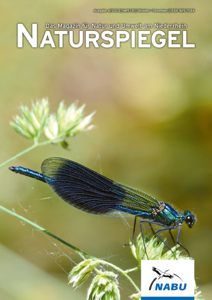 Naturspiegel 4/2023
